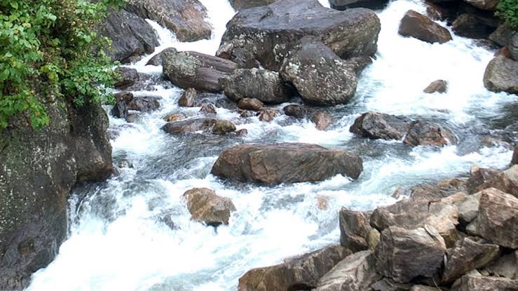 vellarimala trek